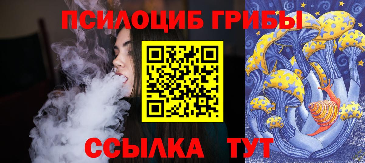 Гусев  Галлюциногенные грибы ЛСД  Вход с VPN 
