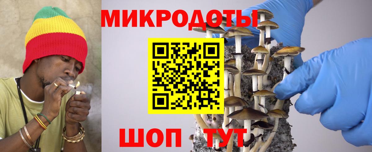 Галлюциногенные грибы ЛСД Гусев